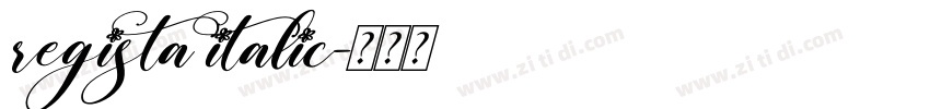 regista italic字体转换